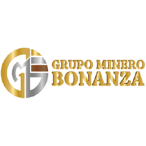Grupo minero Bonanza 